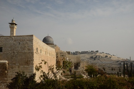 Temple Mount and Mout of Olives